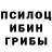 Галлюциногенные грибы Psilocybe 16. clen
