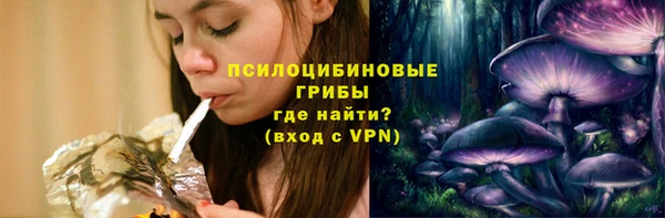 гидра Богородицк