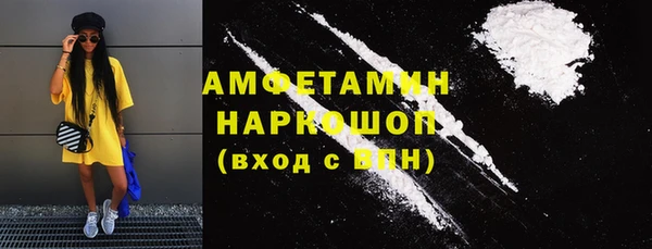 гидра Богородицк