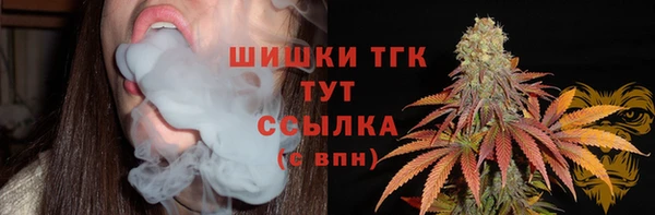 гидра Богородицк