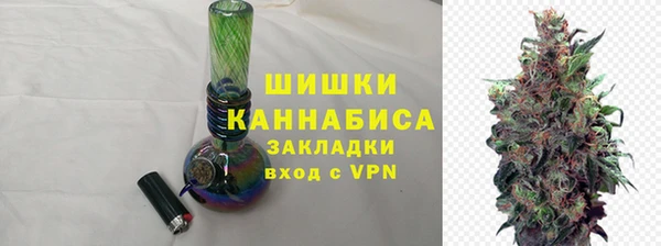 гидра Богородицк