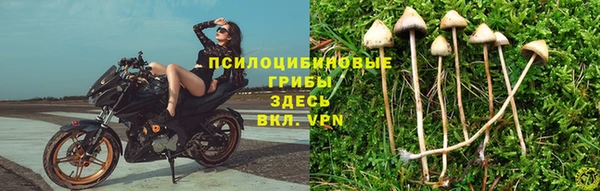 меф Бородино